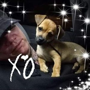 Meet your Posher, Roger s.